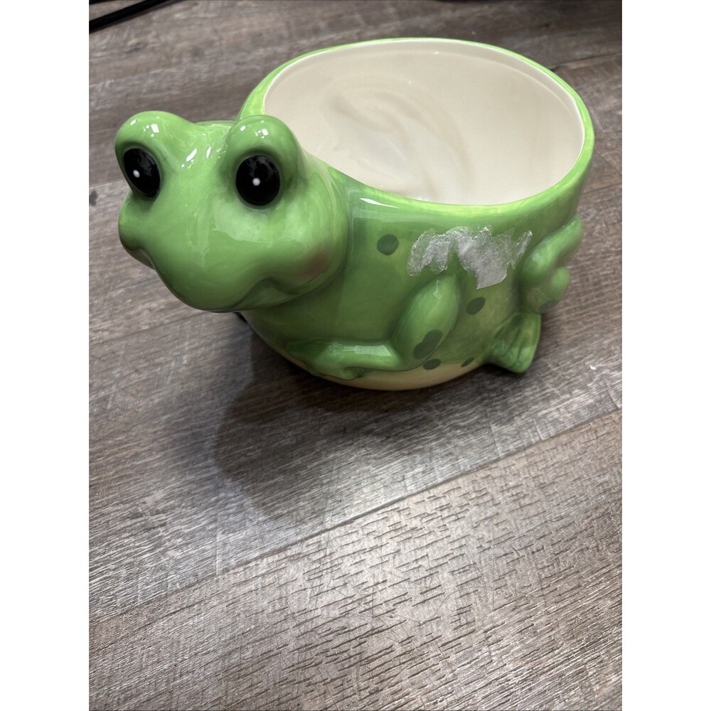 Ceramic Green Frog Planter New 11X7X6” Colorful